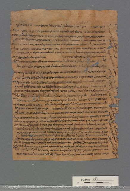 An image of the current object, e.g. a page in manuscript