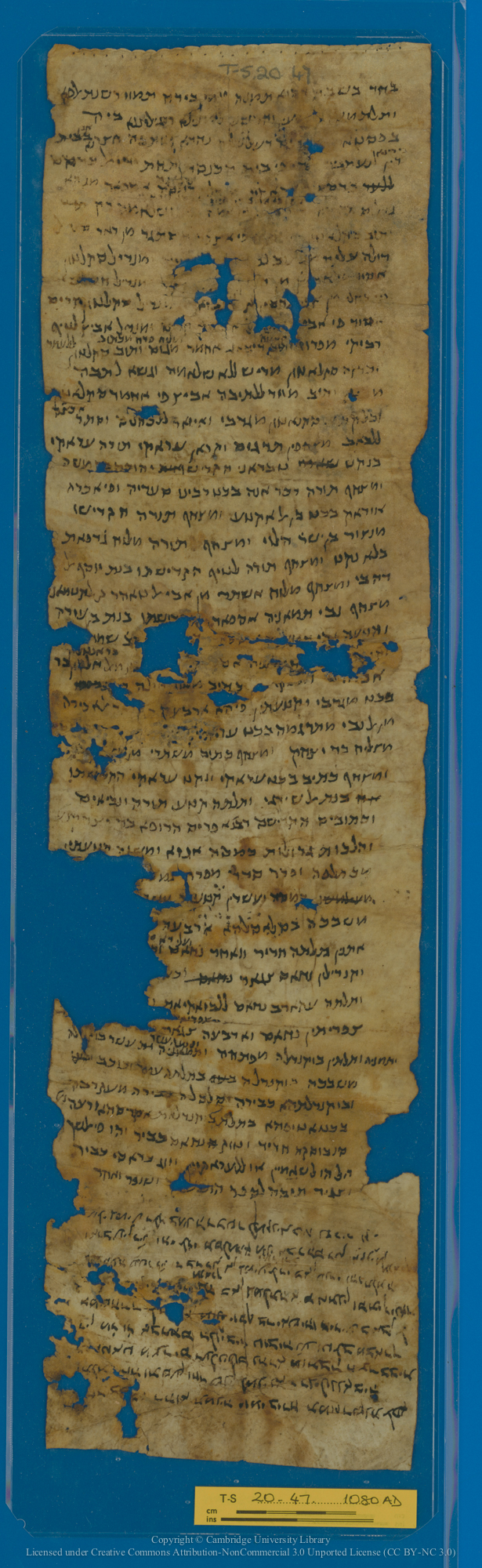 Image of item, e.g. a manuscript page
