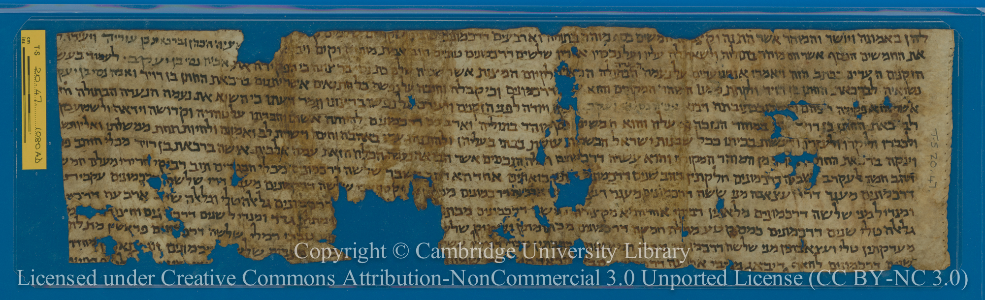 Image of item, e.g. a manuscript page
